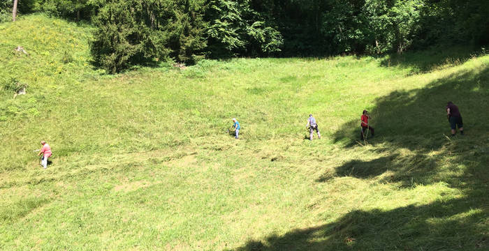 Freiwillige mähen am Immenberg mit der Sense