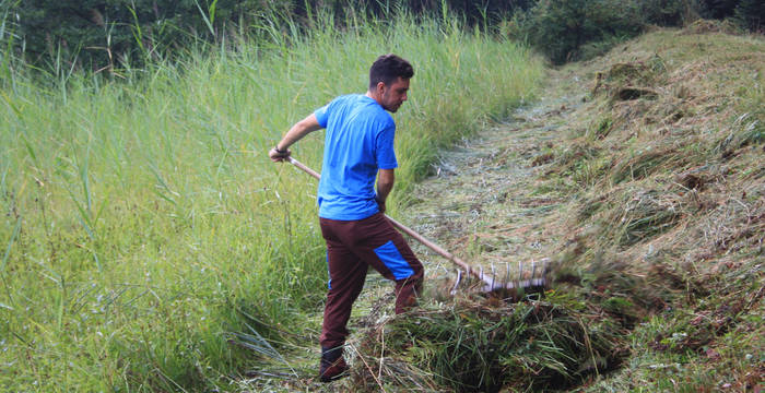 Zivildienstleistender im Naturschutzgebiet