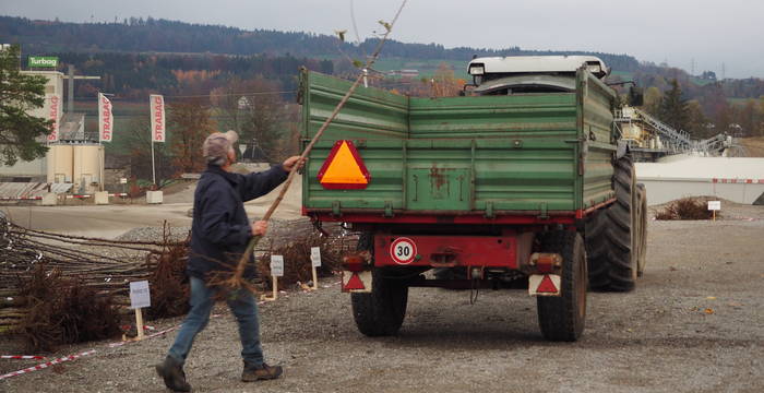 Ein Teilnehmer der Hochstammaktion laden einen Baum ein