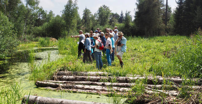 Pro Natura Thurgau Hudelmoos-Exkursion