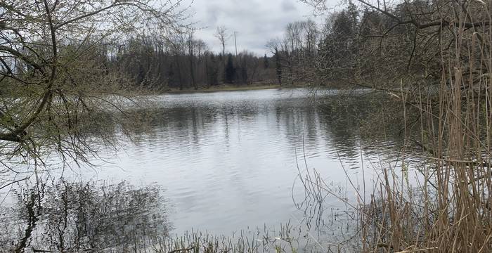 Lengwiler Weiher im Schutzgebiet Lengwiler Weiher