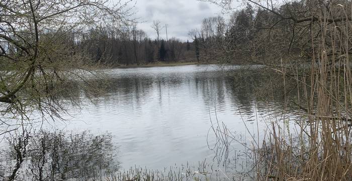Lengwiler Weiher im Schutzgebiet Lengwiler Weiher