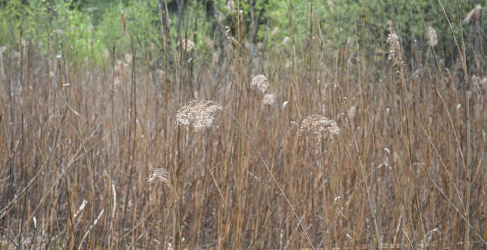 Weiher im Schutzgebiet Hudelmoos
