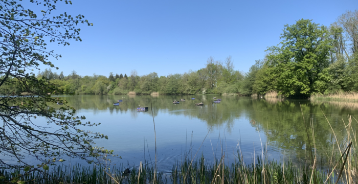 Lengwiler Weiher im Schutzgebiet Lengwiler Weiher