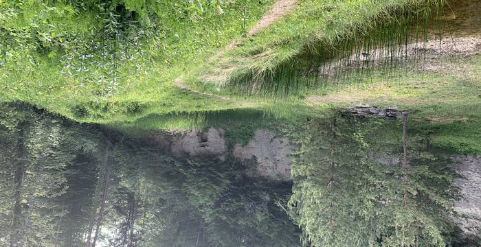 Tümpel im Schutzgebiet Ottenberg