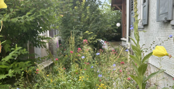 Naturgarten der Pro Natura Thurgau Geschäftsstelle in Weinfelden