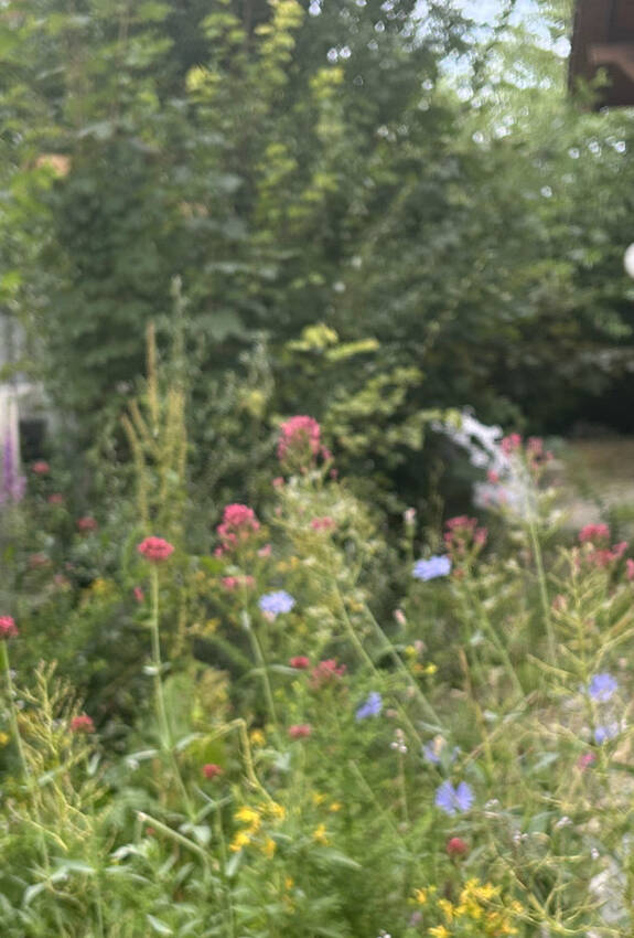 Naturgarten der Pro Natura Thurgau Geschäftsstelle in Weinfelden