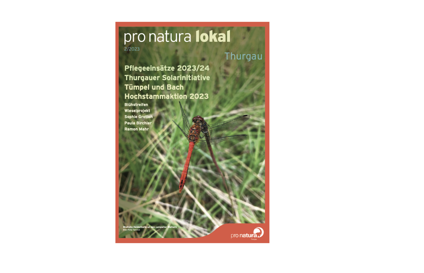 Titelbild der aktuellen Ausgabe