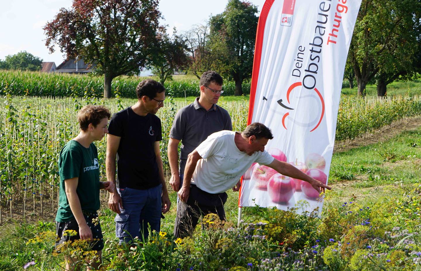 Die Projektverantwortlichen betrachten einen Blühstreifen.